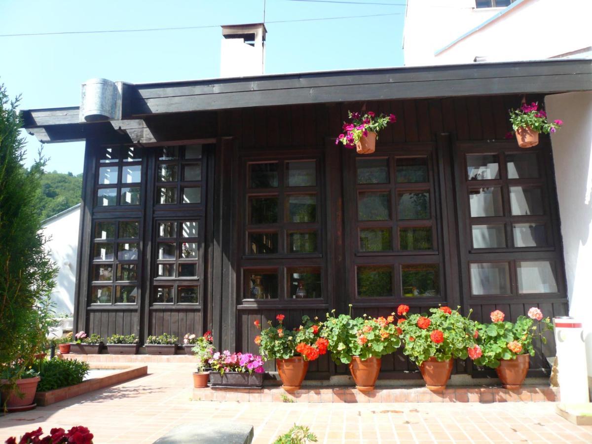 Мечтаната Селска Къща На Реката Със Семейство И Приятели! Ribarica Exterior foto